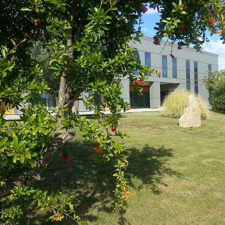 Geovillage Apartments Olbia Eksteriør billede